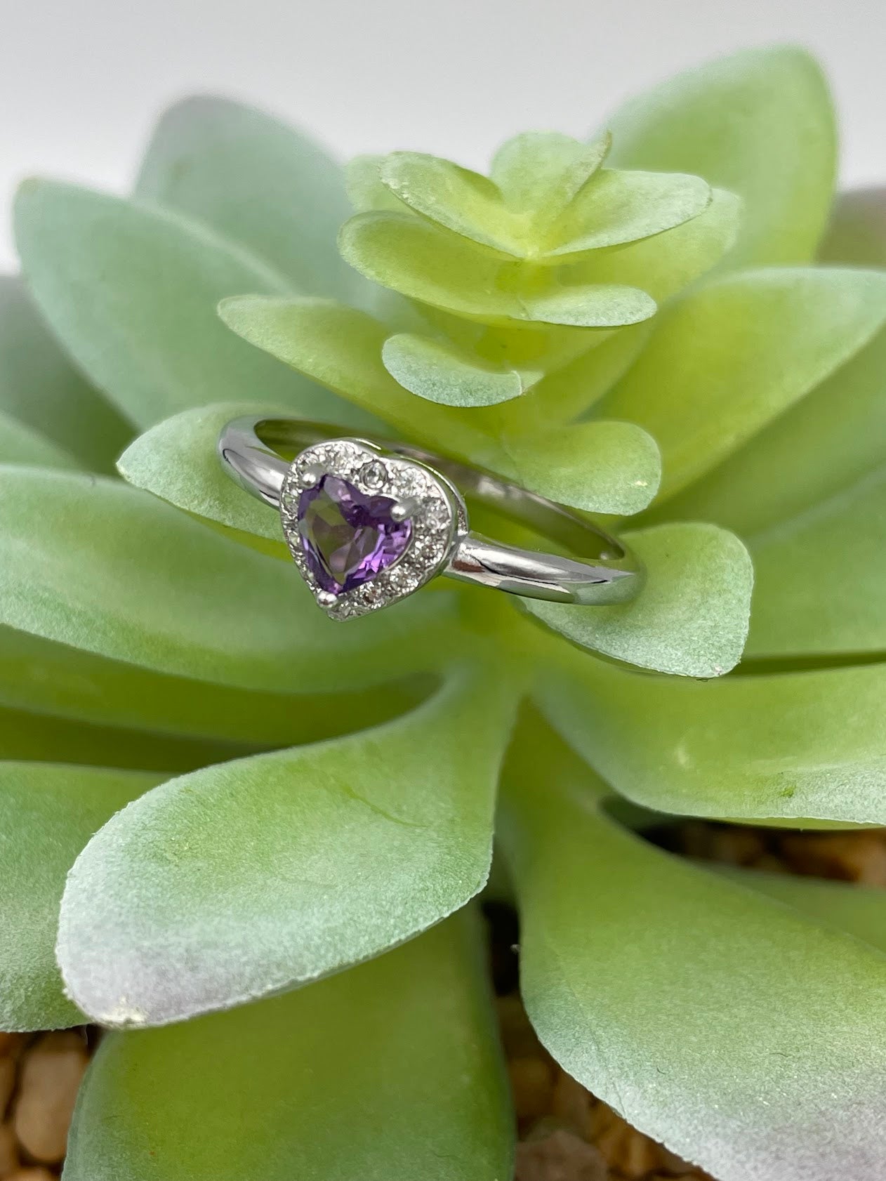Amethyst Heart Earrings & Rings