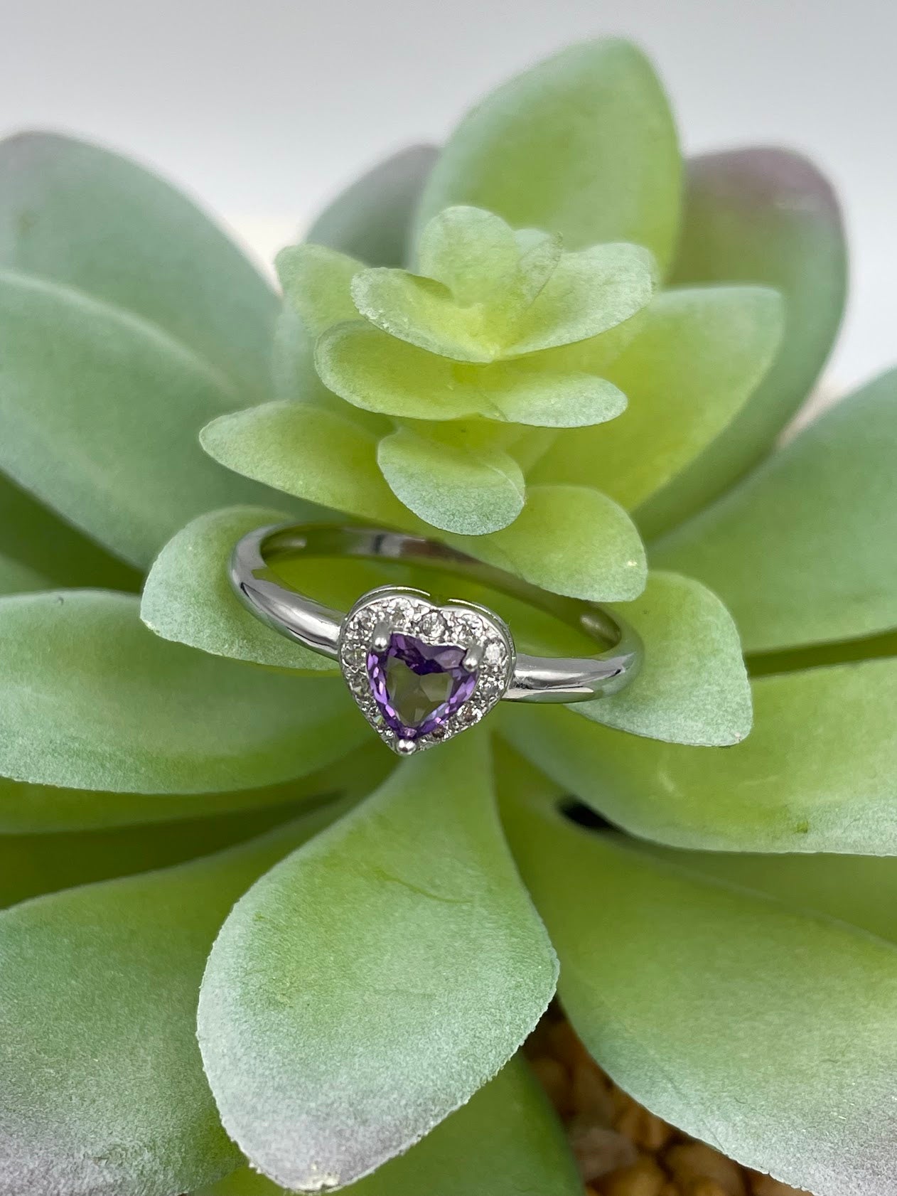 Amethyst Heart Earrings & Rings
